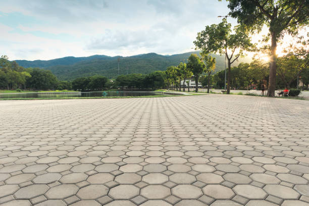 Best Concrete Paver Driveway  in Orangetree, FL