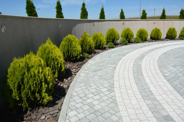Best Commercial Driveway Pavers  in Orangetree, FL